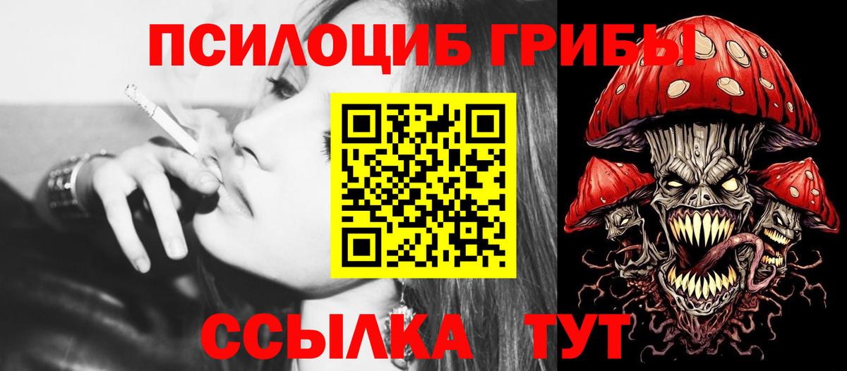 Псилоцибиновые грибы Cubensis Чебоксары